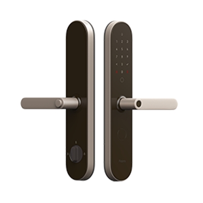 門(mén)鎖 N100 Pro